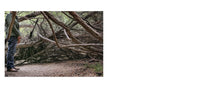 Load image into Gallery viewer, Daniel Case: Outside Sex