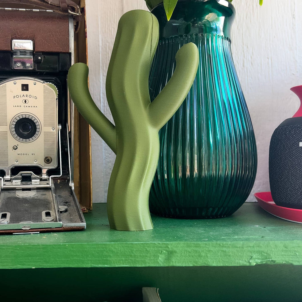 The Saguiggle Cactus