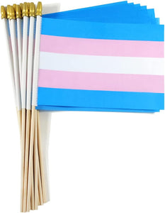 Mini Hand Held Transgender Pride Flag