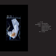 Load image into Gallery viewer, Cruising Diaries