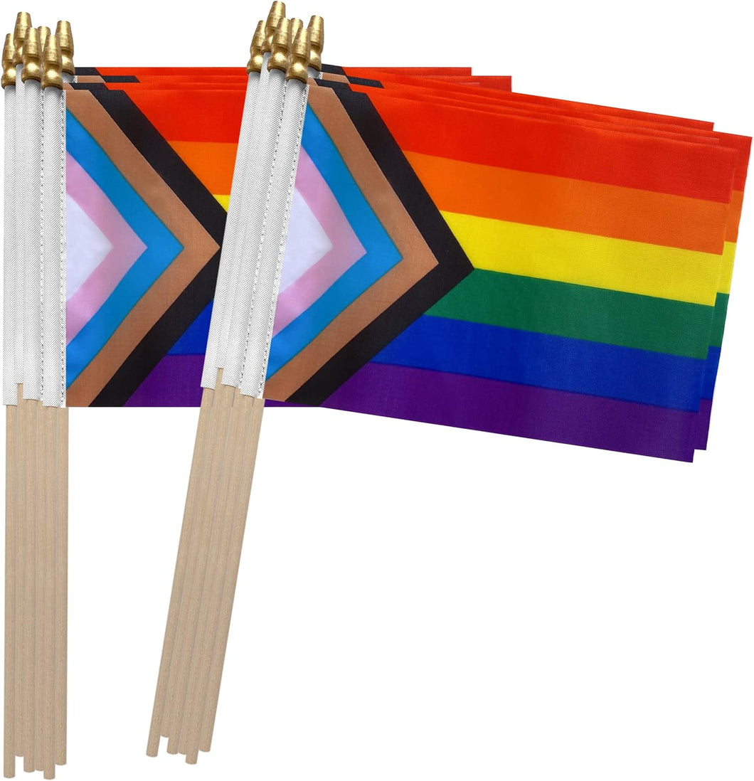 Mini Hand Held Inclusive Rainbow Pride Flag