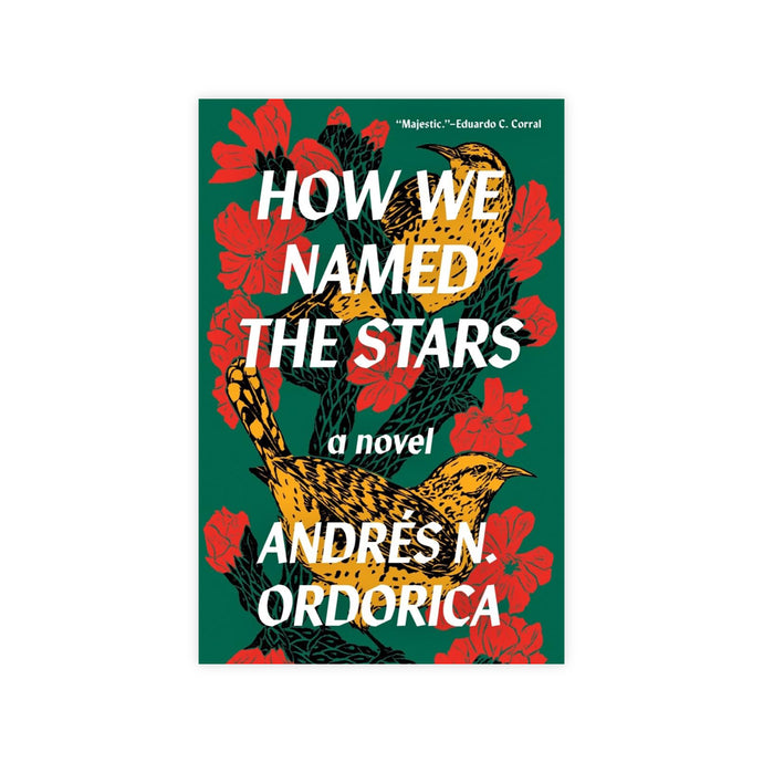 How We Named the Stars