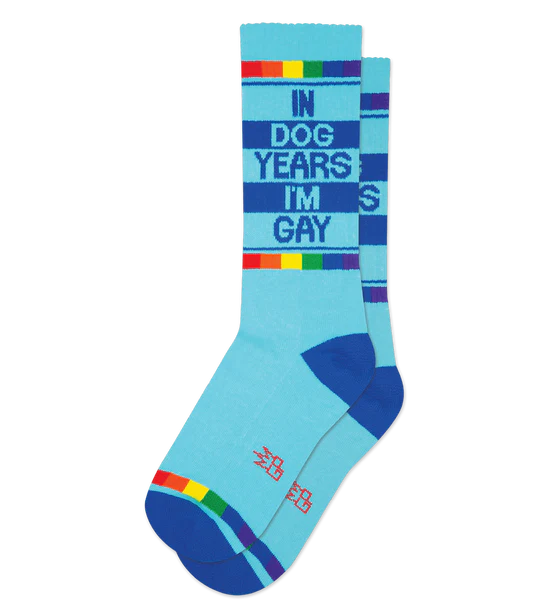 In Dog Years I'm Gay Socks