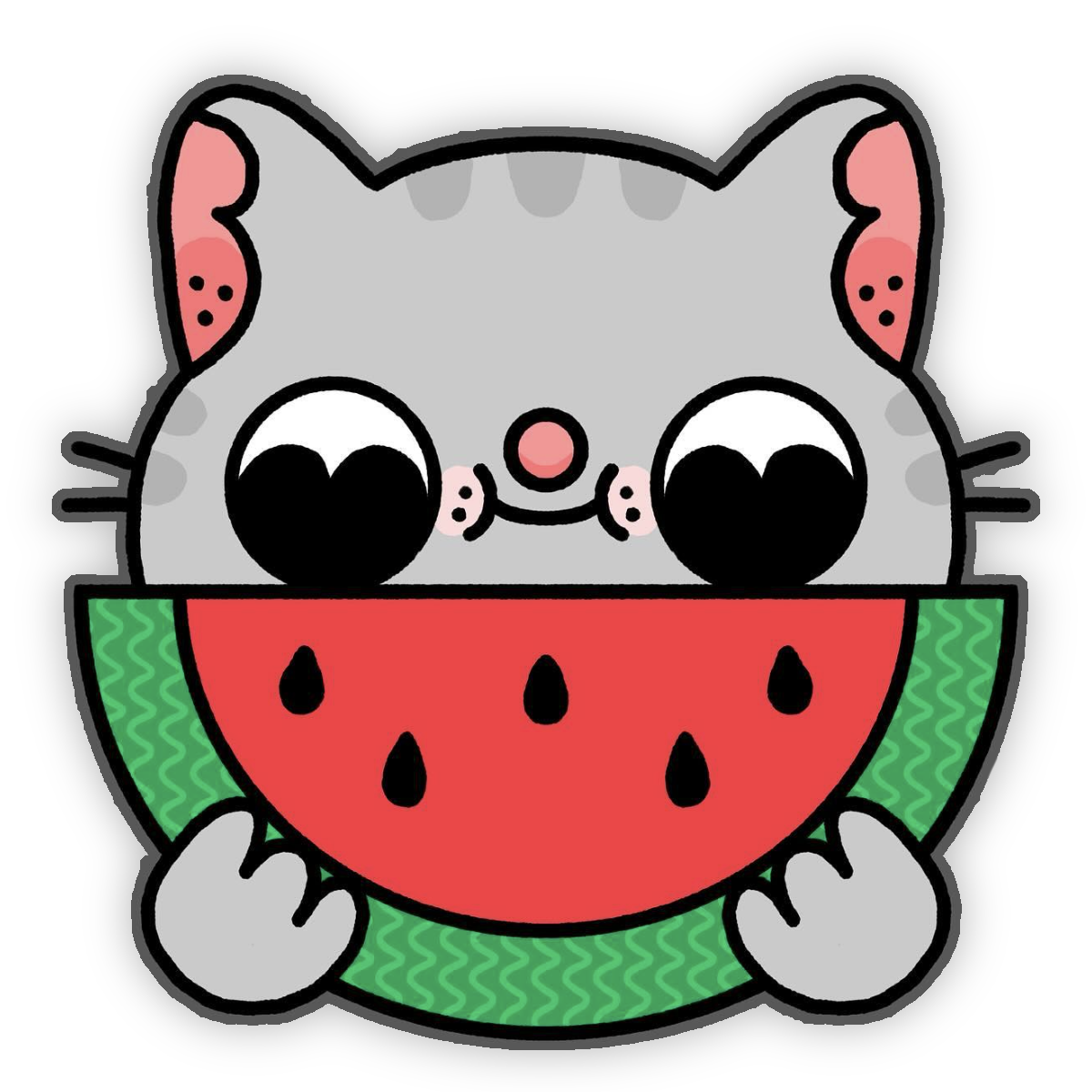 Watermelon Cat Sticker – TLGS