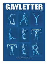 Load image into Gallery viewer, Gayletter - Issue 20