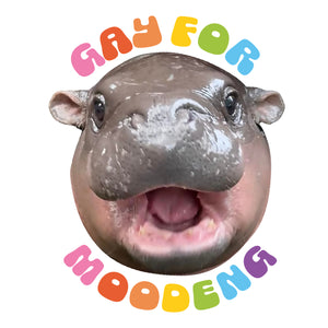 Gay For Moo Deng Shirt