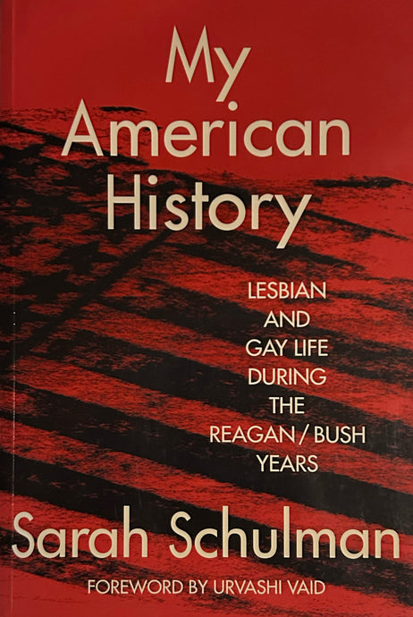My American History: Lesbian and Gay Life During the Reagan/Bush Years
