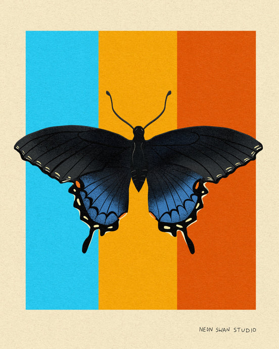 Tri-color Swallowtail Butterfly - Giclée Print