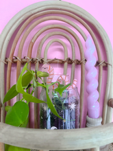 Load image into Gallery viewer, Worm Plant Pal