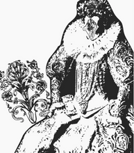 Load image into Gallery viewer, Post-Structuralist Vulva Coloring Book