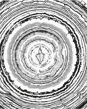Load image into Gallery viewer, Post-Structuralist Vulva Coloring Book