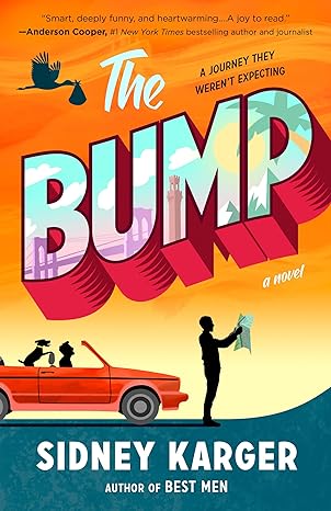 The Bump: A Novel