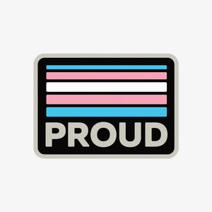 Proud Retro Trans Sticker