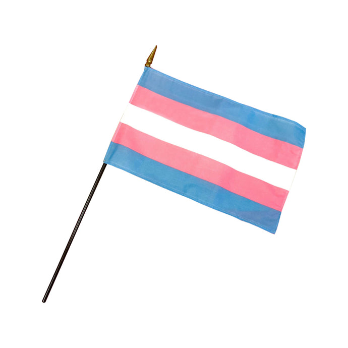 Hand Held Trans Pride Flag