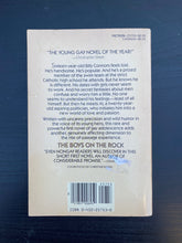 Load image into Gallery viewer, Boys on the Rock