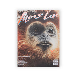 More Or Less , Issue 3