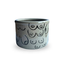 Load image into Gallery viewer, Boob Planter Pot