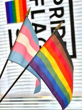 Load image into Gallery viewer, Hand Held Trans Pride Flag