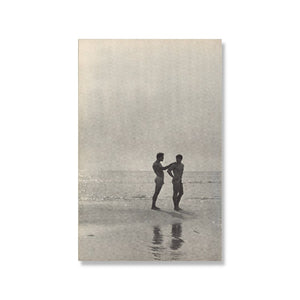 Beach Boys 11" x 17" Print