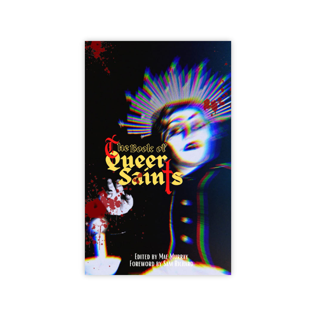 The Book of Queer Saints